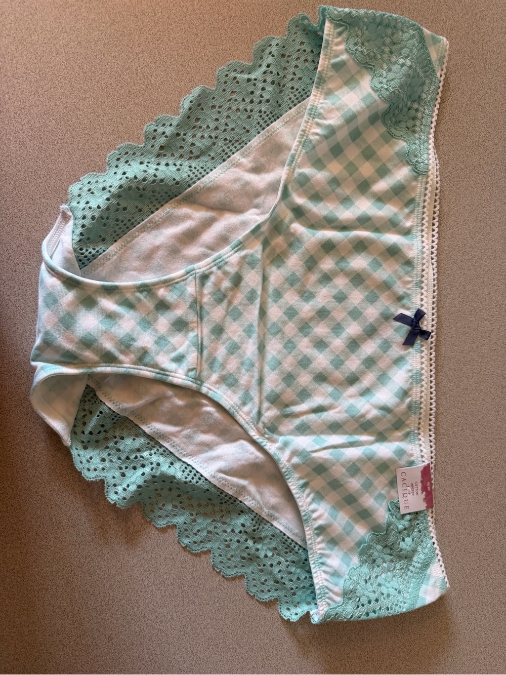 Lane Bryant NWT Cacique Mint Gingham Lace-Trim Cotton Hipster w/Navy Bow 18/20